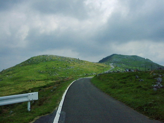 DSC00322.jpg