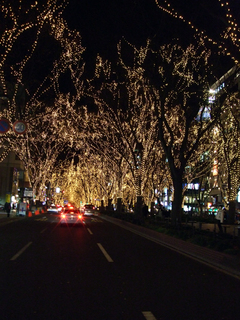 DSCF9501.jpg