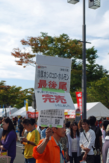 DSC_1371.jpg