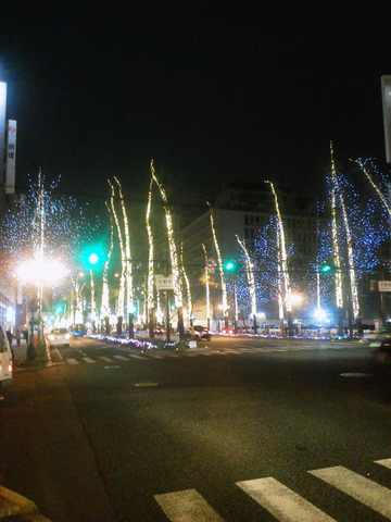 NEC_0122.jpg