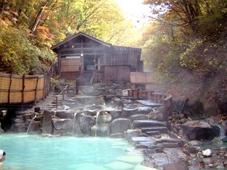 zaouonsen.jpg
